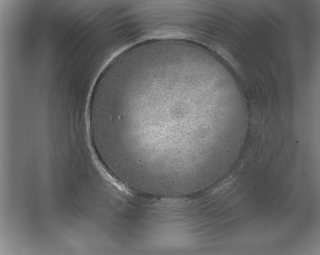 X0000062650840200512281645