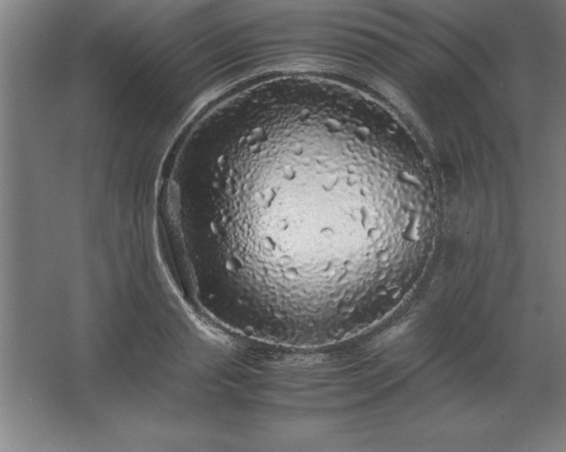 X0000062650845200512281645