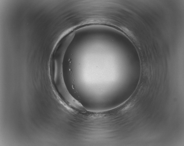 X0000062650846200512281645