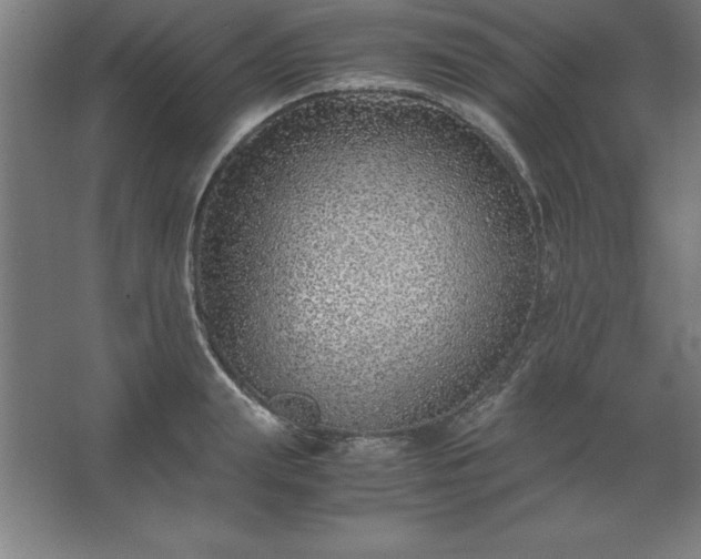 X0000062650847200512281645