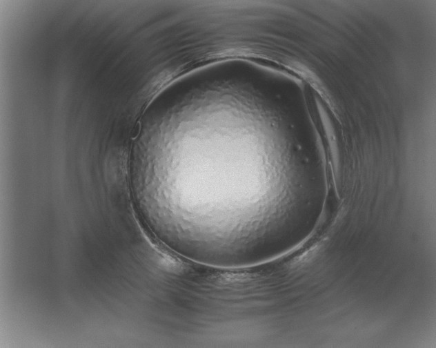 X0000062650849200512281645