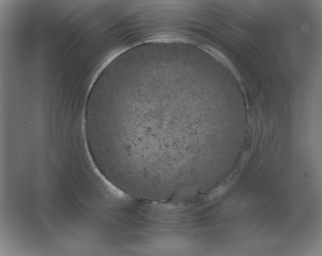 X0000062650855200512281645