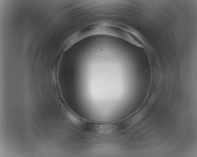 X0000062650857200512281645