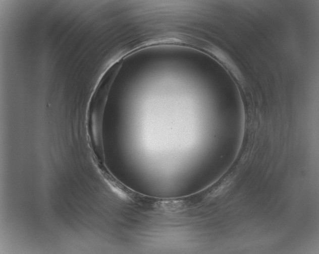 X0000062650858200512281645