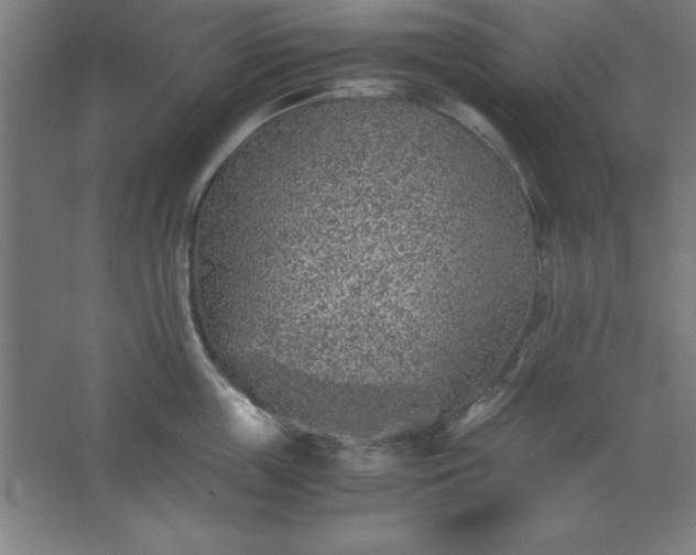 X0000062650859200512281645