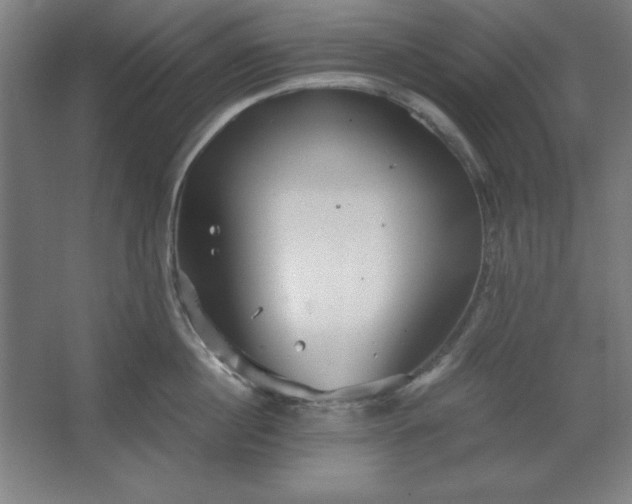 X0000062650860200512281645