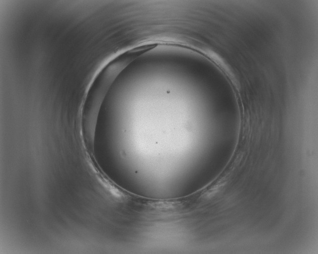 X0000062650862200512281645