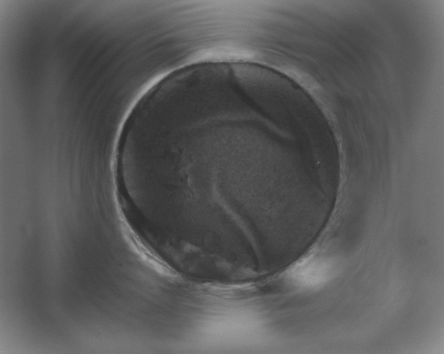 X0000062650864200512281645