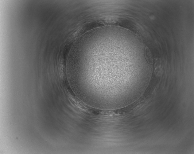 X0000062650866200512281644