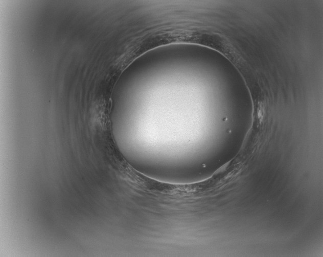 X0000062650867200512281644