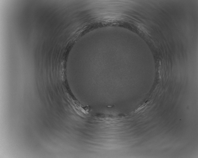 X0000062650868200512281644