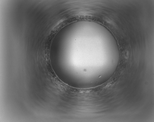 X0000062650870200512281644