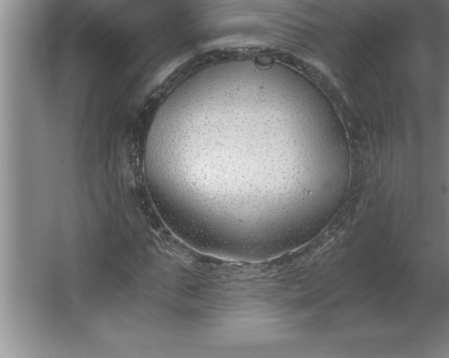 X0000062650871200512281644