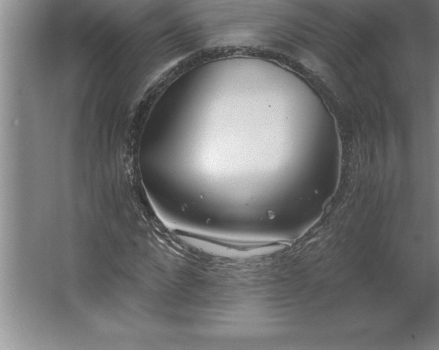 X0000062650872200512281644