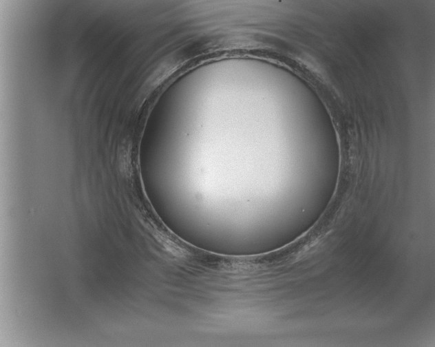 X0000062650873200512281644