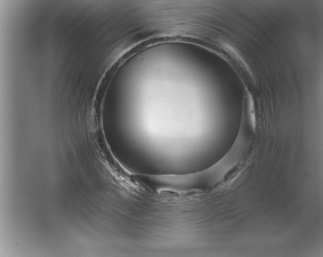 X0000062650876200512281644