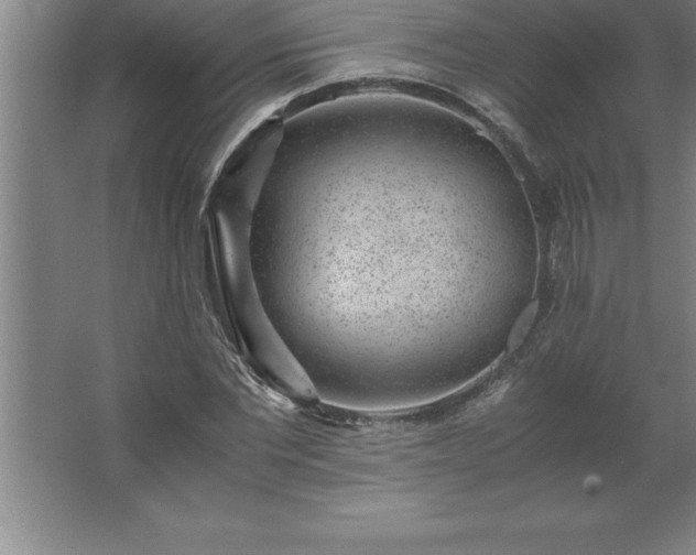 X0000062650877200512281644