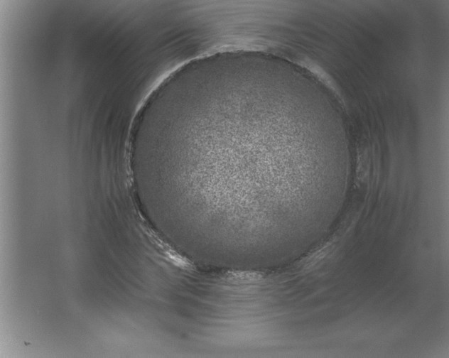 X0000062650878200512281644