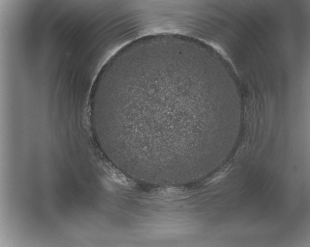 X0000062650879200512281644