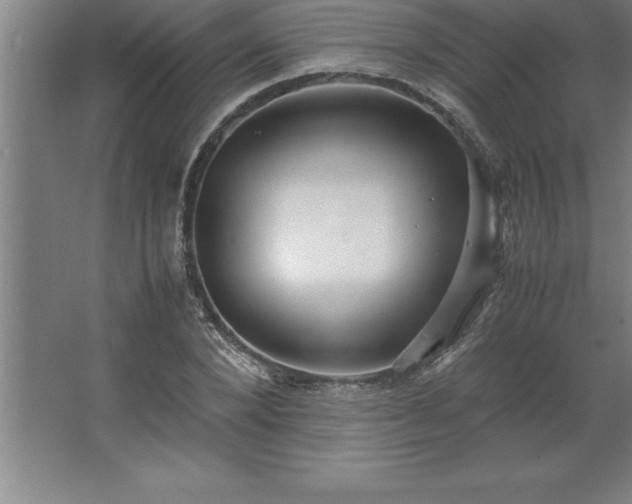 X0000062650880200512281644