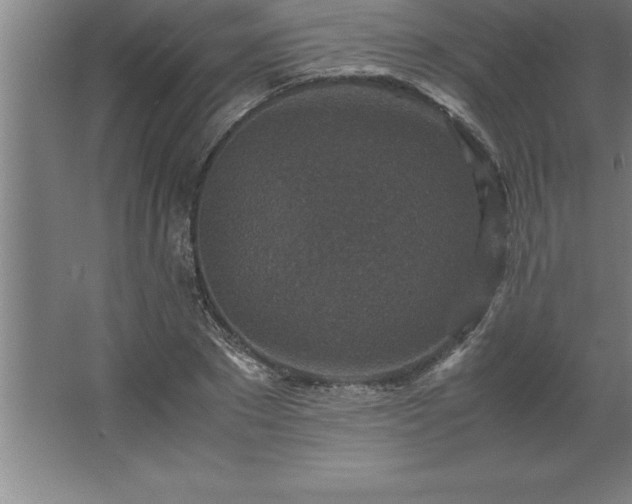 X0000062650881200512281644