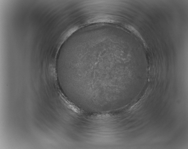 X0000062650882200512281644