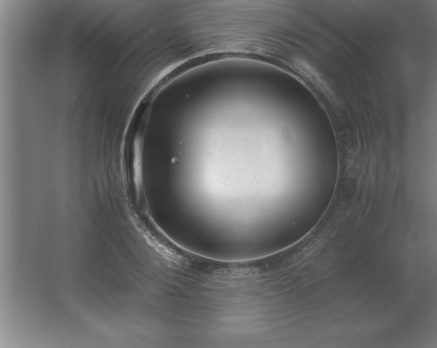 X0000062650884200512281644