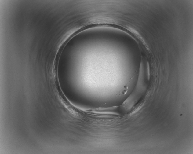 X0000062650885200512281644