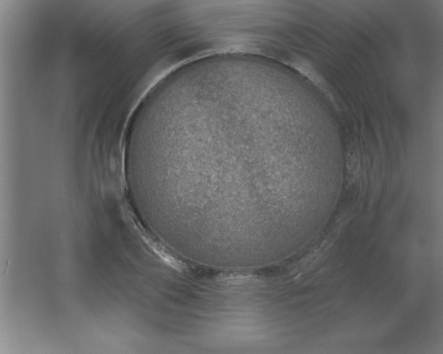 X0000062650886200512281644