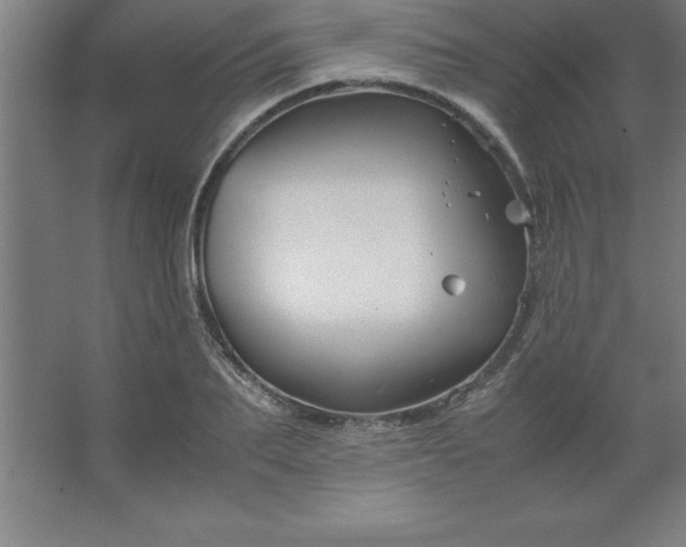 X0000062650887200512281644