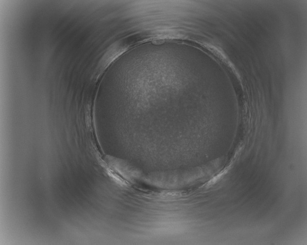 X0000062650889200512281644