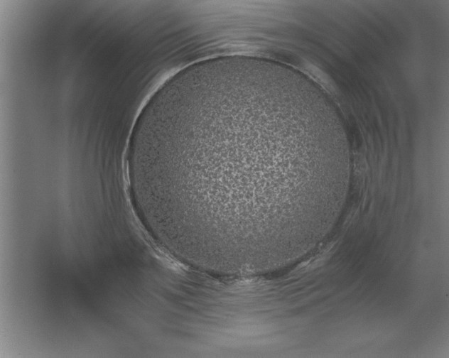 X0000062650891200512281644