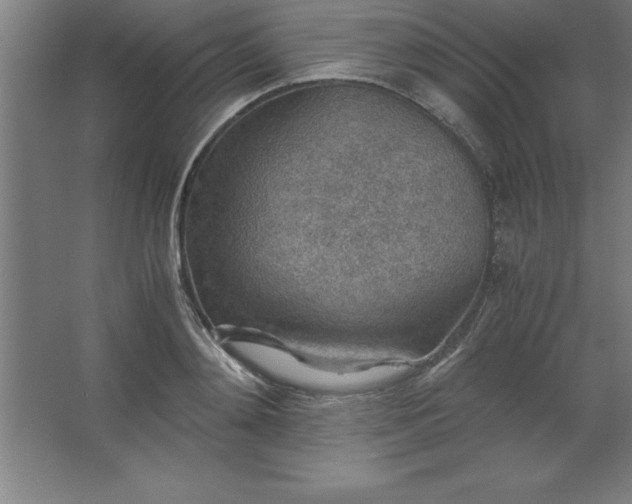 X0000062650892200512281644