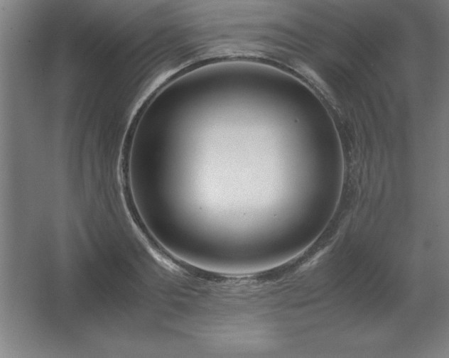 X0000062650893200512281644