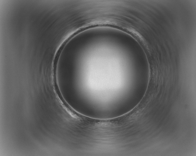 X0000062650894200512281644