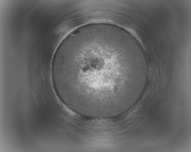 X0000062650895200512281644