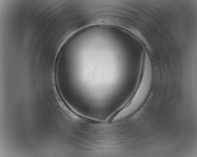 X0000062650896200512281644