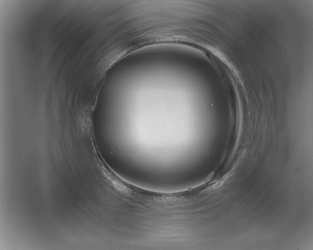 X0000062650897200512281644