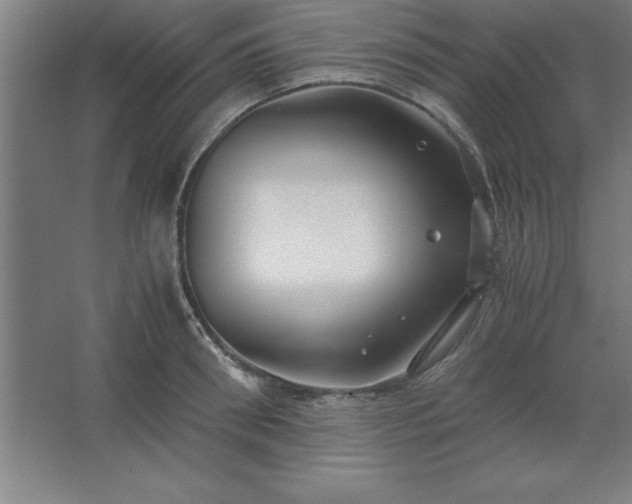 X0000062650898200512281644