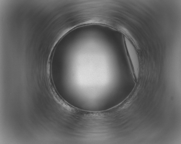 X0000062650900200512281644