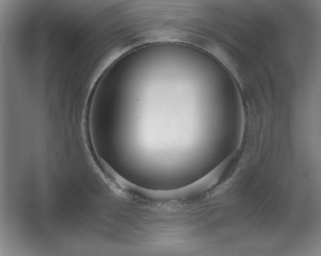 X0000062650901200512281644