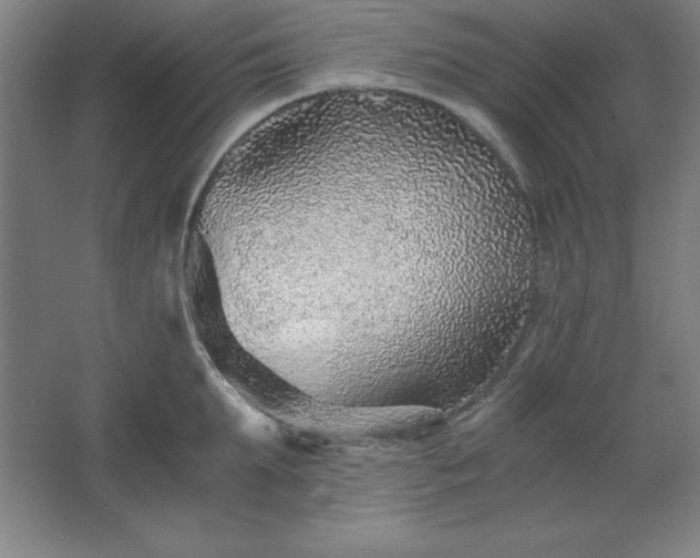 X0000062650903200512281644