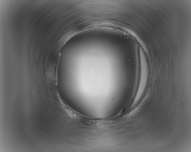 X0000062650905200512281644