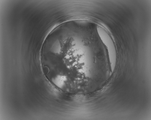 X0000062650907200512281644