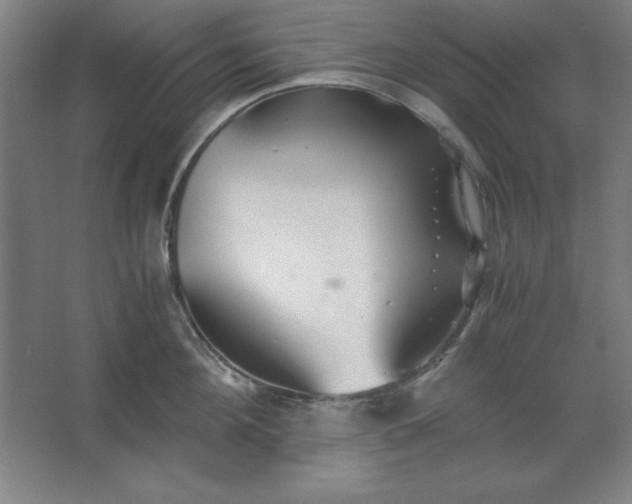 X0000062650908200512281644