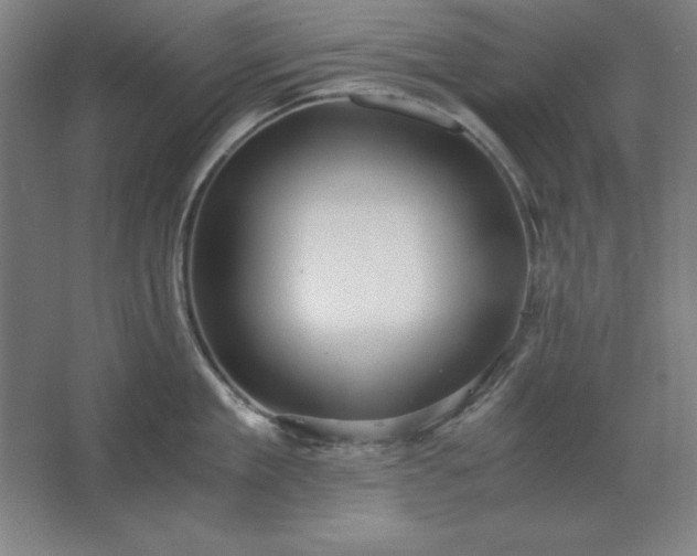 X0000062650909200512281644