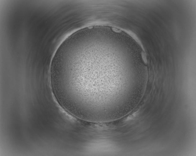 X0000062650911200512281644