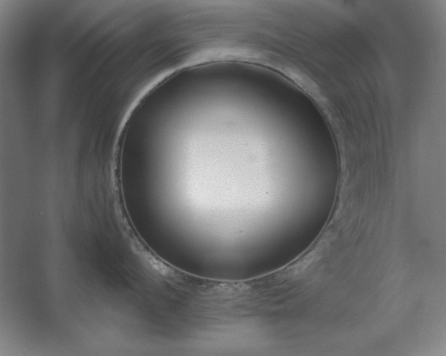 X0000062650912200512281644