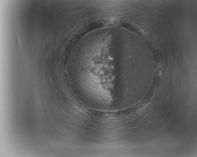 X0000062650913200512281643