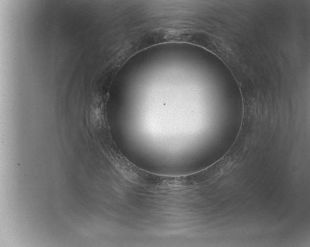 X0000062650914200512281643